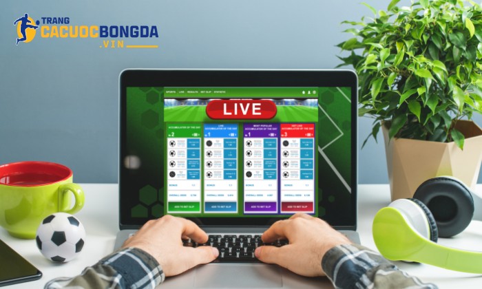 Nhà cái uy tín hỗ trợ nhanh, tận tâm 